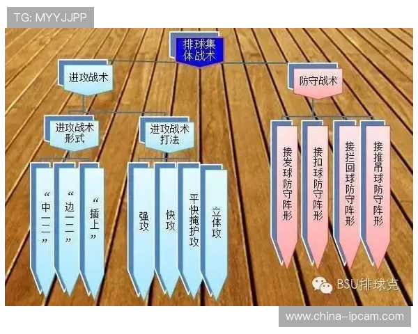 上海排球队防反体系解析与战术创新探讨