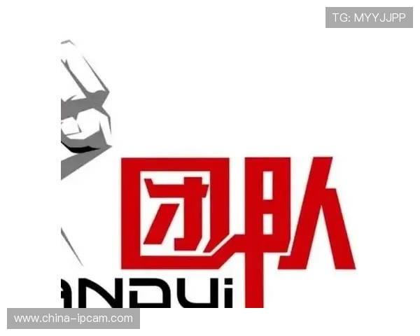 南京飞盘队灵活性排名创新高引发热议展现团队实力与潜力