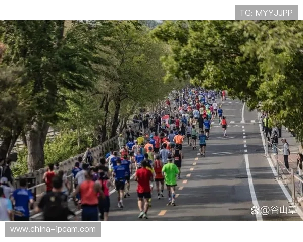 城市马拉松特别报道：杭州攀岩队勇闯极限挑战的精彩历程与奋斗故事