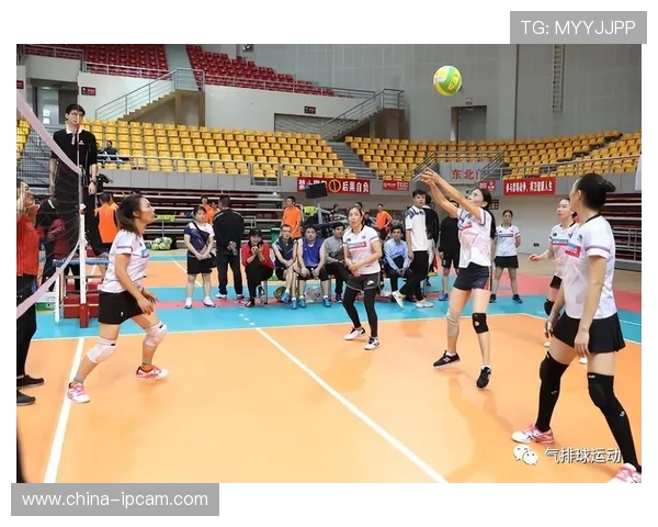 武汉排球队的整体压制策略与技战术深度解析